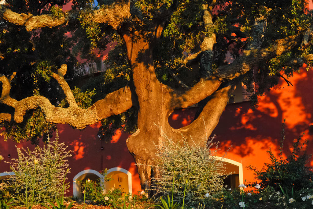 סקרלינו Giardino Dei Sugheri מראה חיצוני תמונה